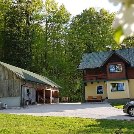 Ferienhaus Schlossblick Villa Landl  Екстериор снимка